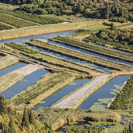 Awesome In With Wifi * Opuzen